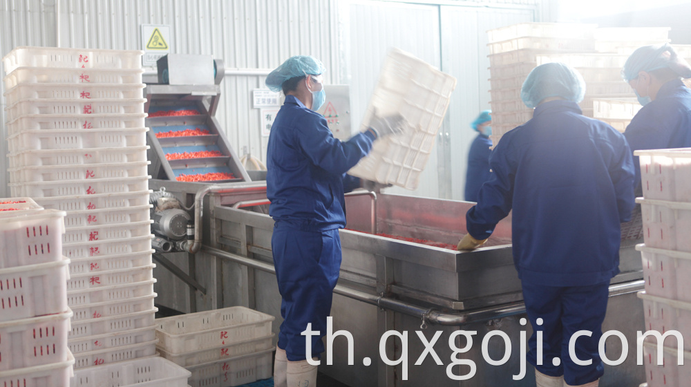 GMP Factory Supply Goji Juice